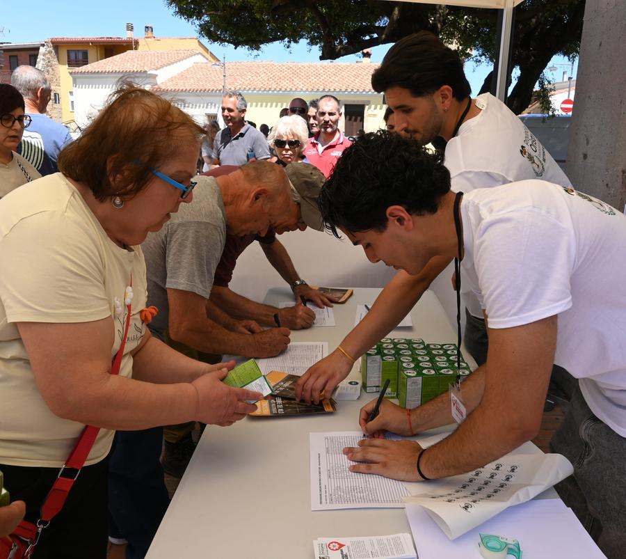 Tutti armati contro le zanzare