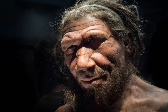La ricostruzione di un uomo di Neanderthal (foto via Ansa)