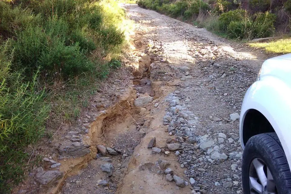Le buche nelle strade rurali (Foto Sonia Gioia)