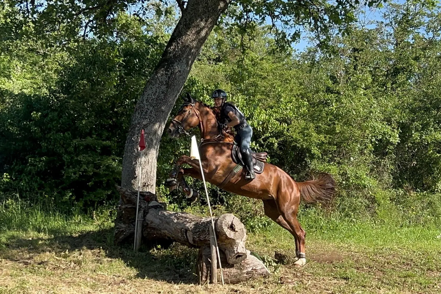 Angela Lanzetta su Fujairah