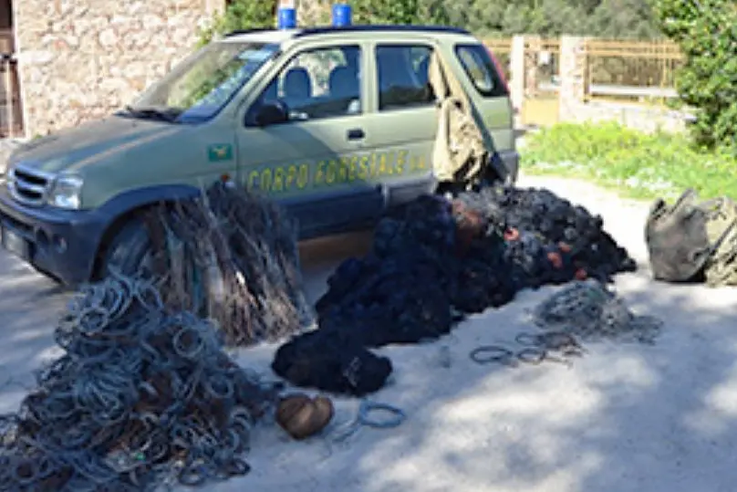 I sequestri (foto Corpo forestale)