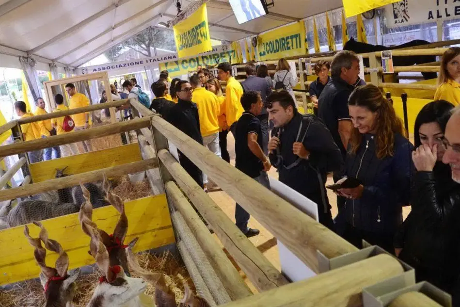 Il Villaggio Coldiretti (Ansa)