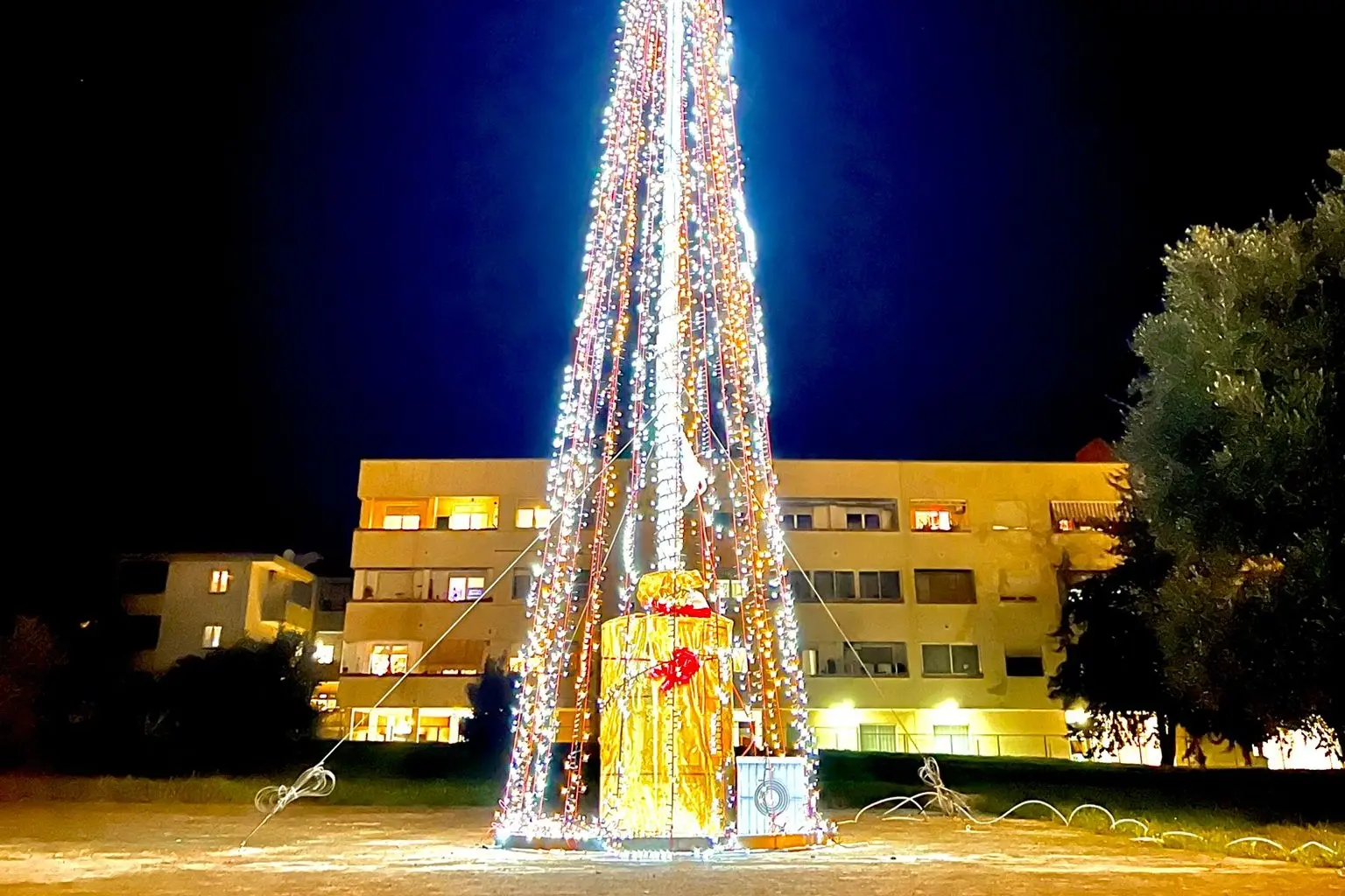 L'albero di Natale a Li Punti (foto L'Unione Sarda - Tellini)