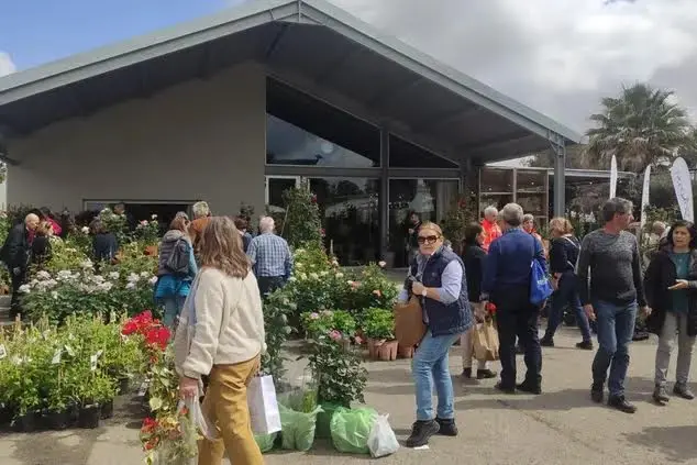 La mostra (foto Sara Pinna)