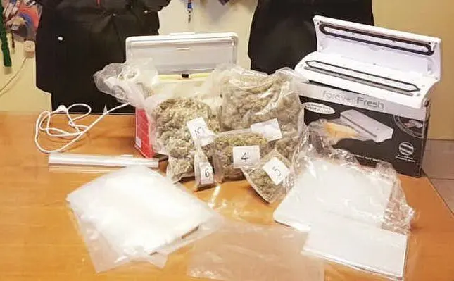 La marijuana trovata a casa di Tuveri