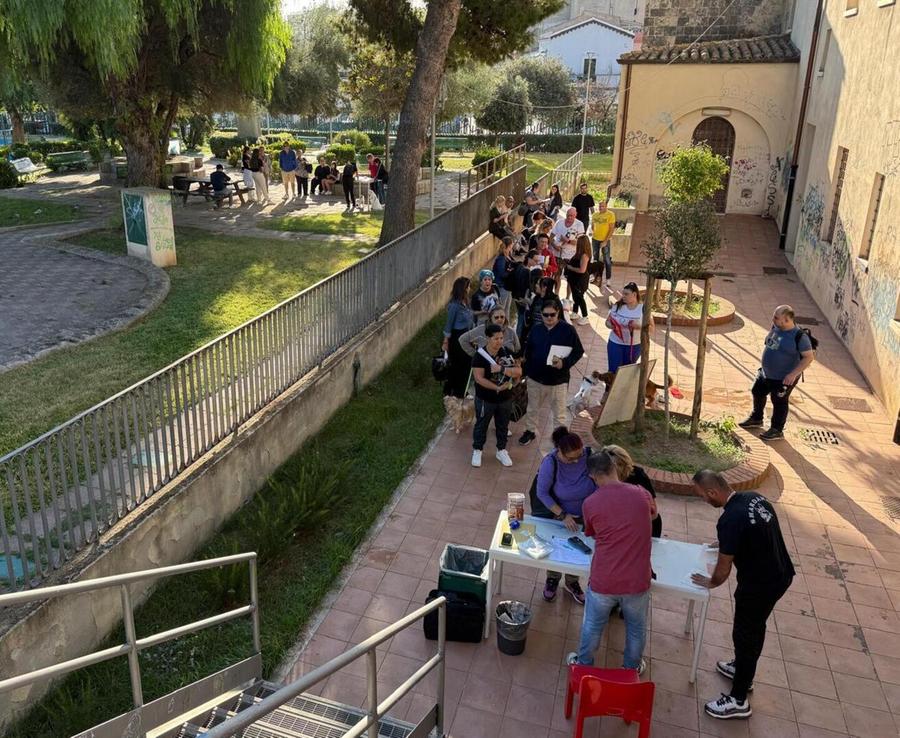 Randagismo, microchip per 39 cani