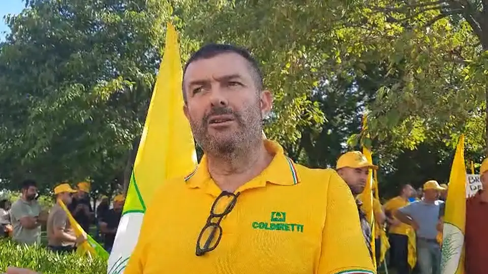 https://immagini.unionesarda.it/version/c:MjI2MTJkYjMtYjZlMy00:YmMwZTQ0YjAtMTg4Mi00/image.webp?f=16:9