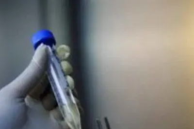 Analisi di laboratorio