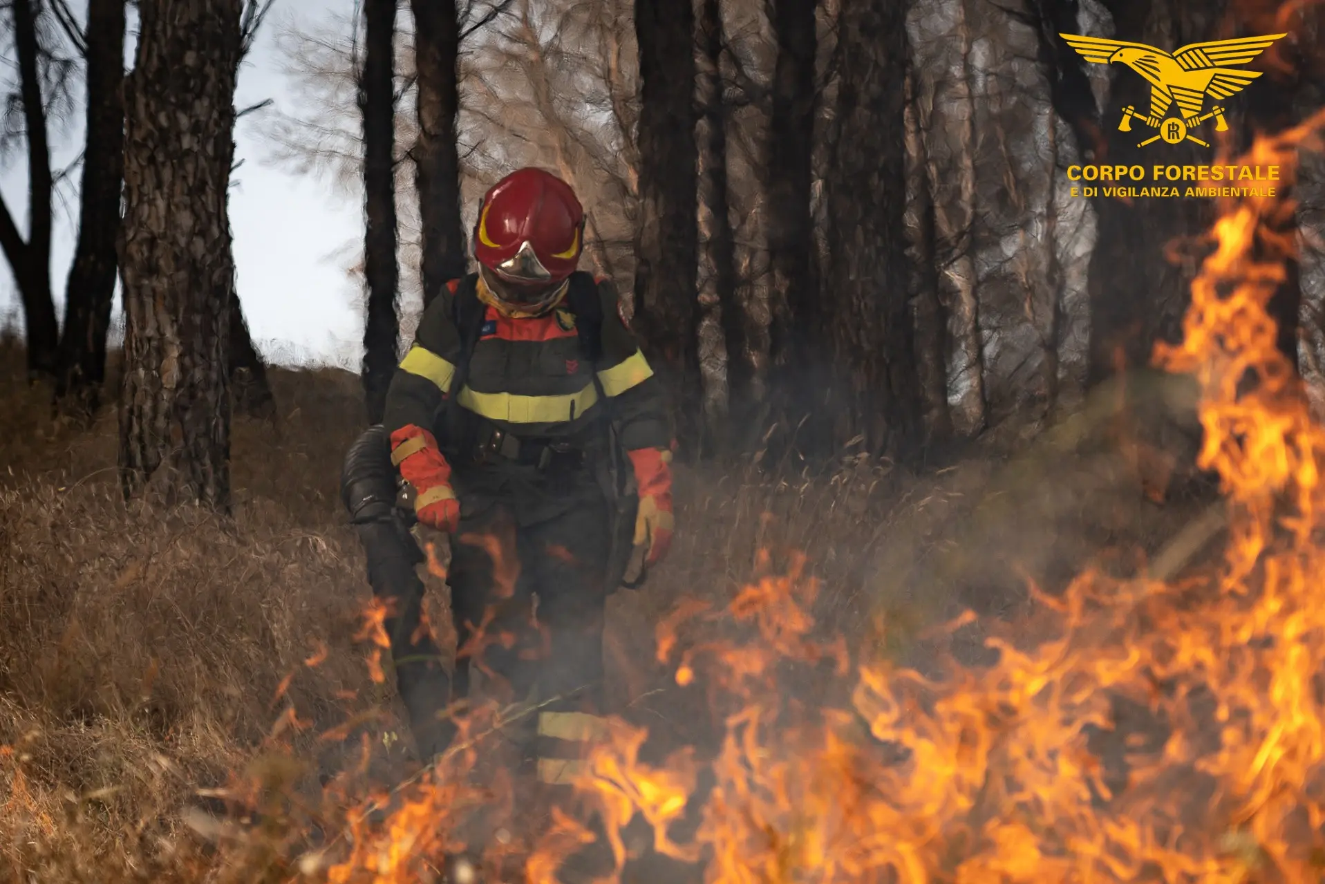 Incendio Villasor