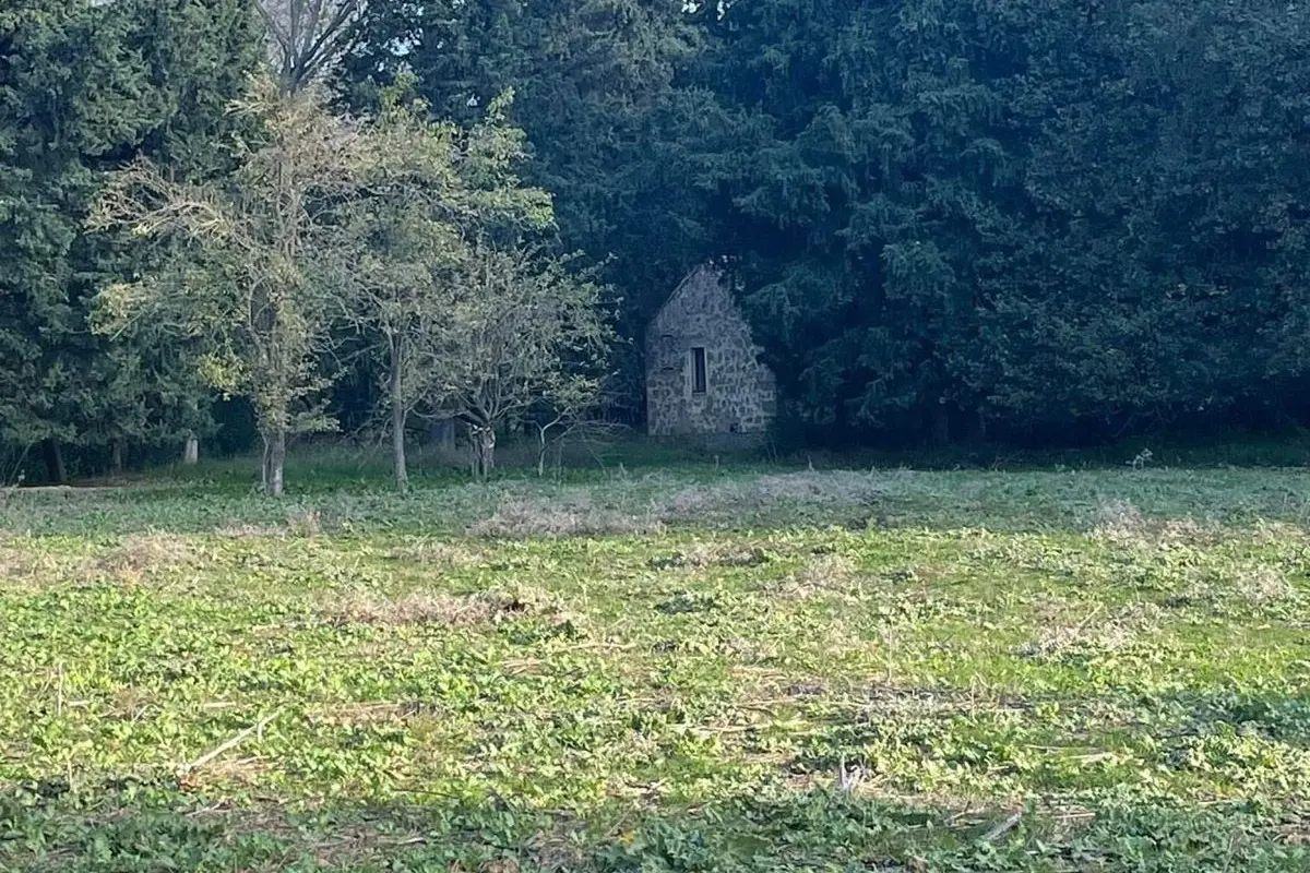 Area del Frutteto Storico di Curcuris (foto concessa)
