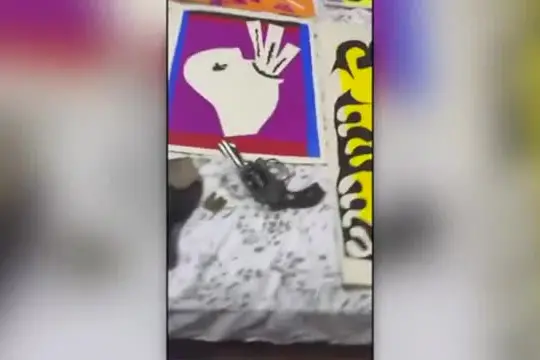 In Brasile ritrovate 8 opere di Matisse (con accanto una pistola)