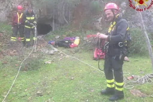 Il salvataggio del cane