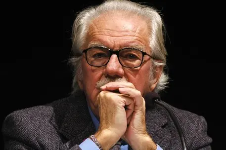 Alberto Asor Rosa (Ansa)