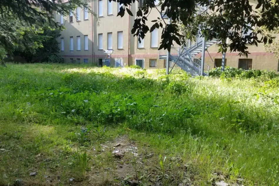Il cortile della scuola elementare invaso dalle erbacce