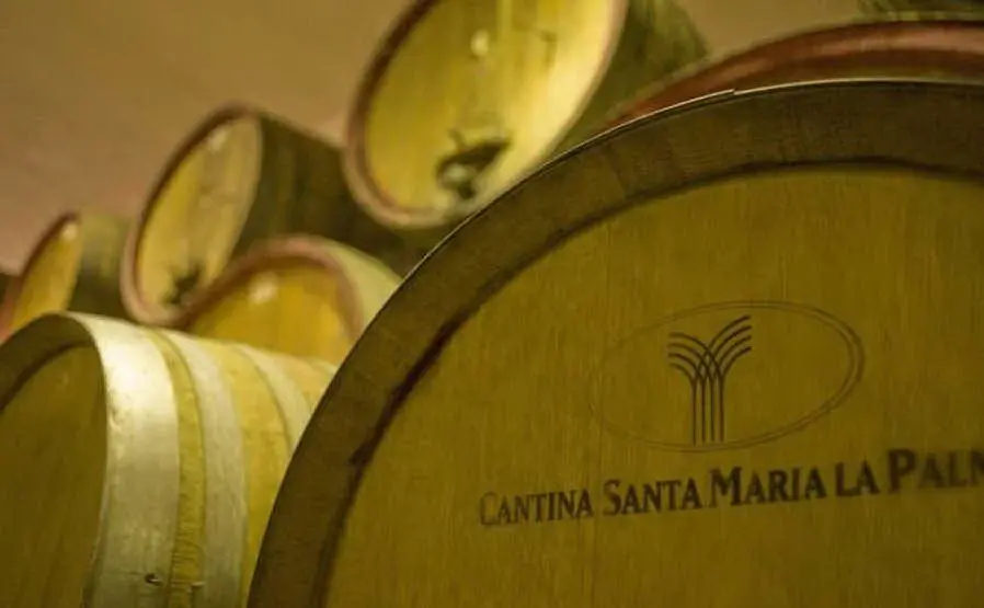 Botti nella cantina di Santa Maria La Palma