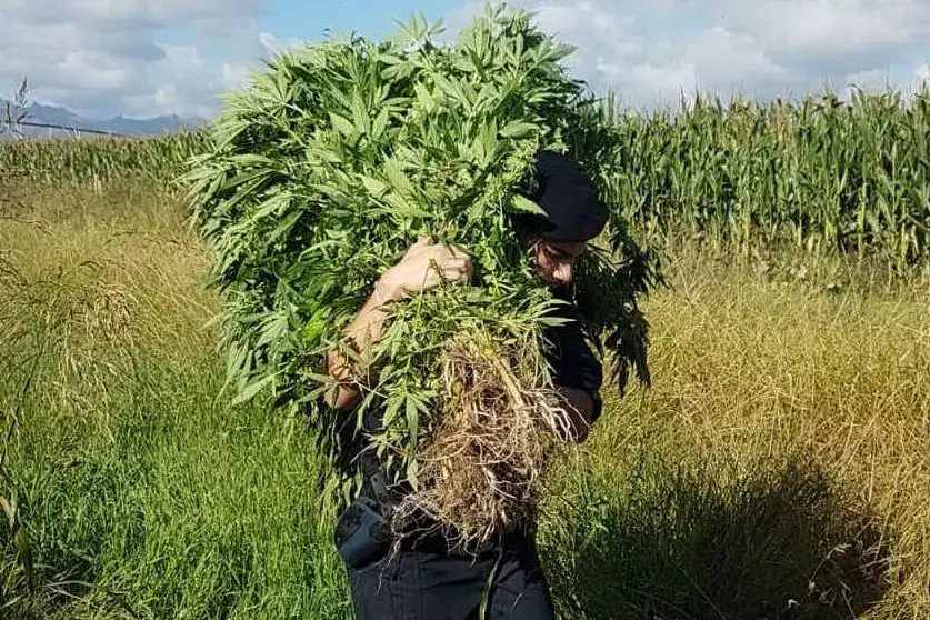 (foto Carabinieri)