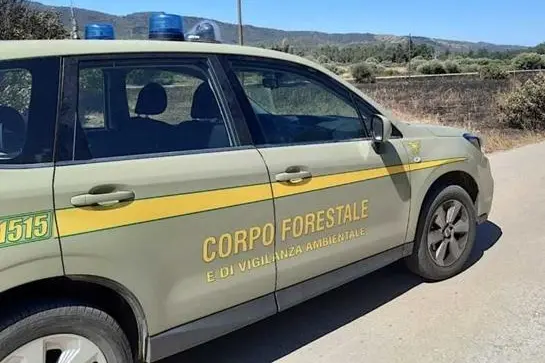 Un’auto del corpo forestale