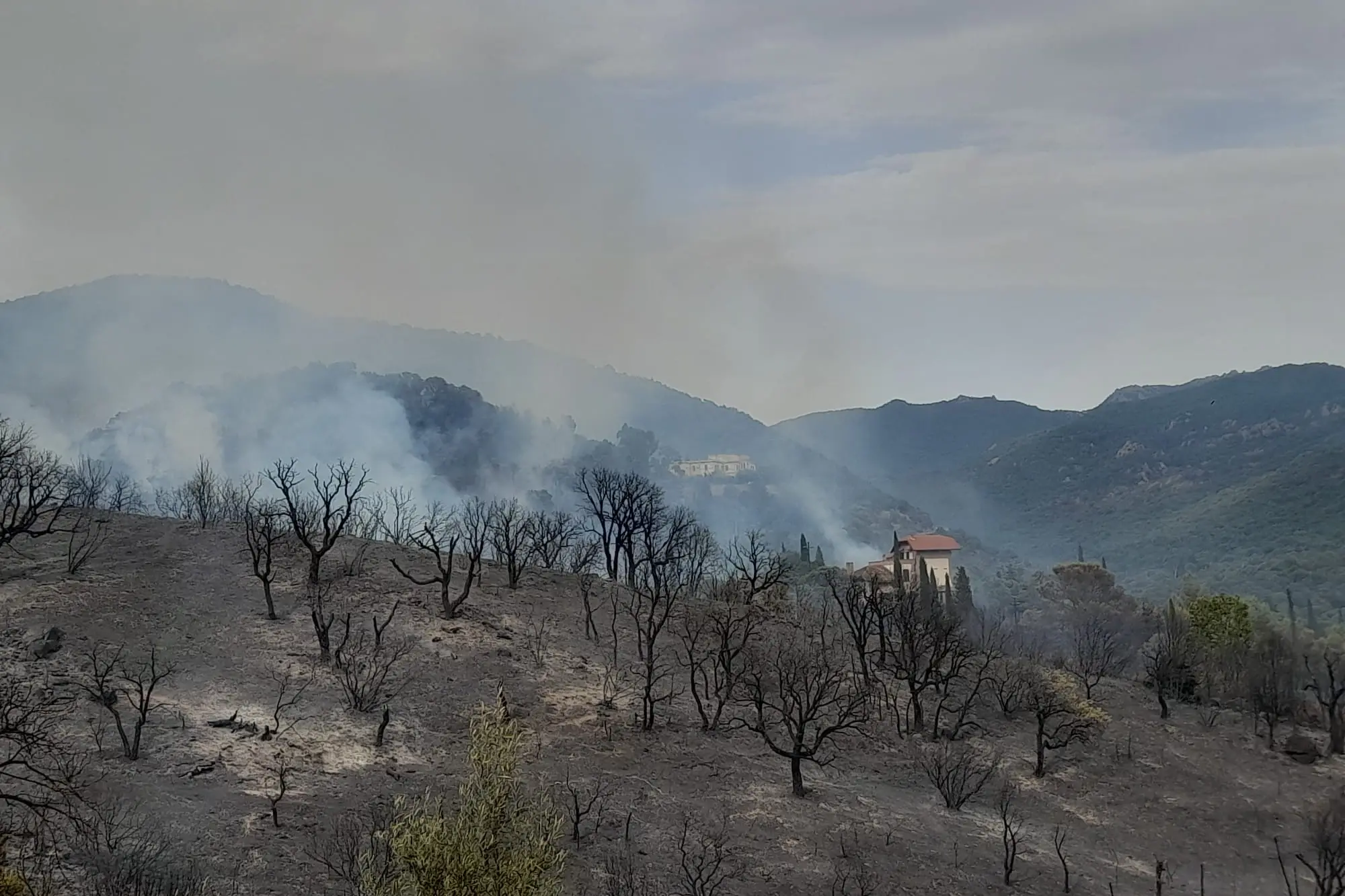 San Gregorio: paesaggio spettrale dopo l'incendio (Serreli)