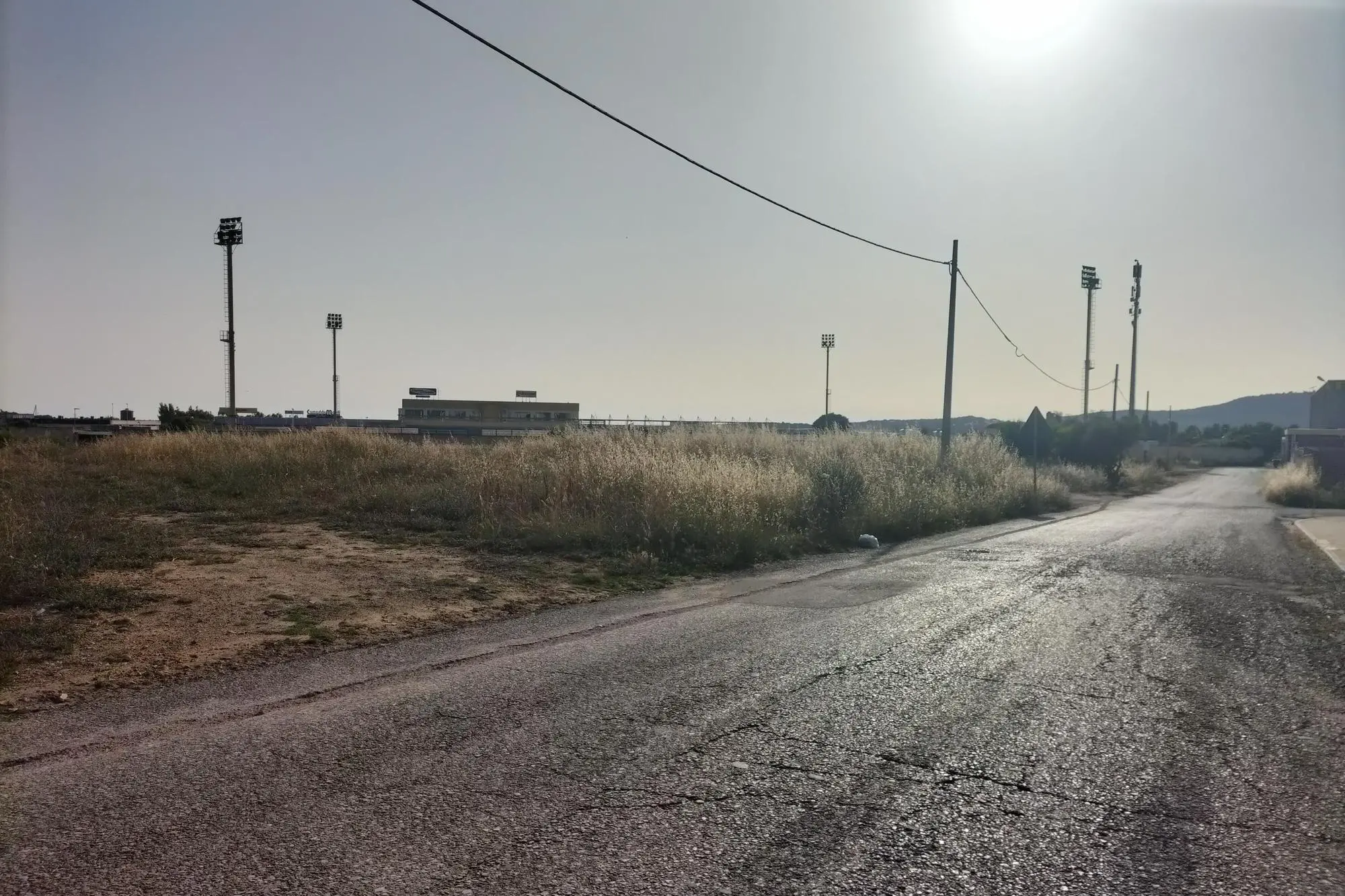 La distesa di erbacce fra stadio e via Costituente (foto Scano)
