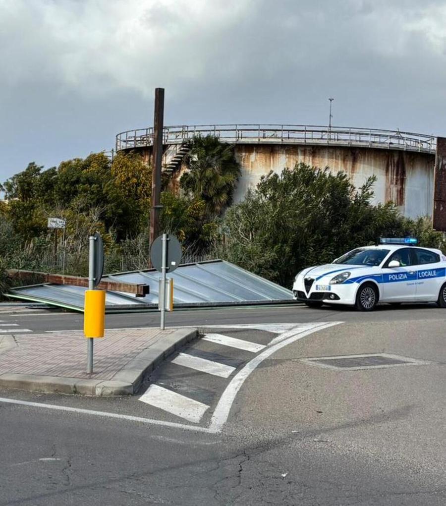 Alberi spezzati e disagi per il forte vento