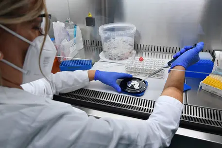 Laboratorio di ricerca (foto Ansa)
