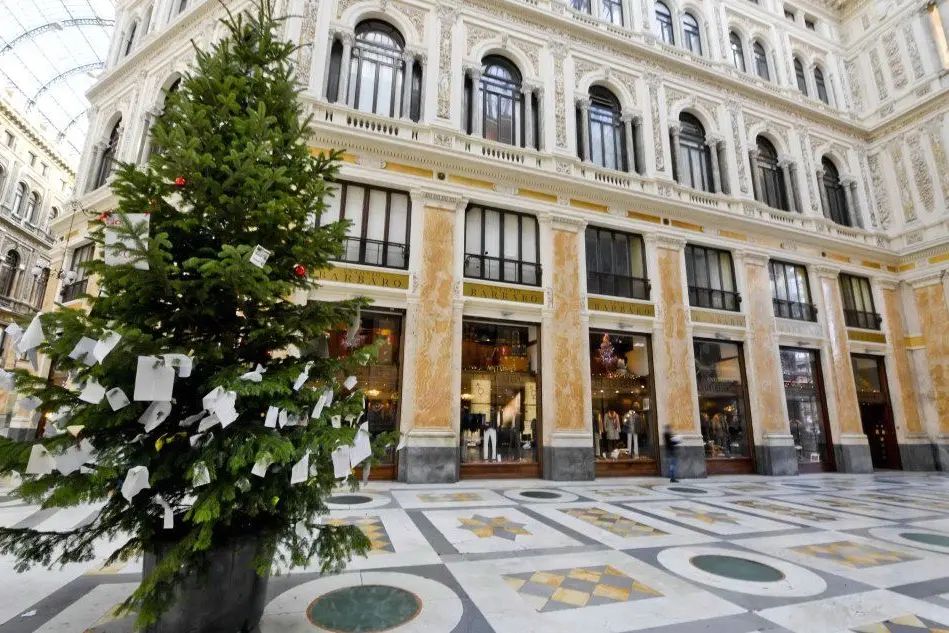 L'albero di Natale che era stato posizionato in Galleria Umberto a Napoli (Ansa)
