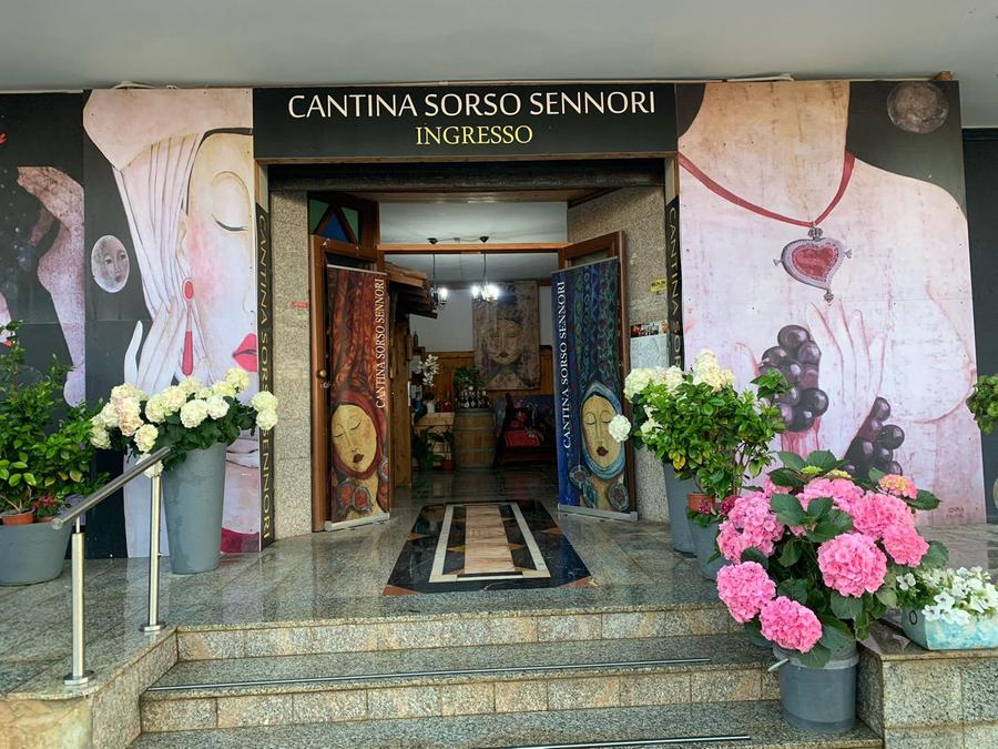 Sorso, vini della Romangia eccellenze europee