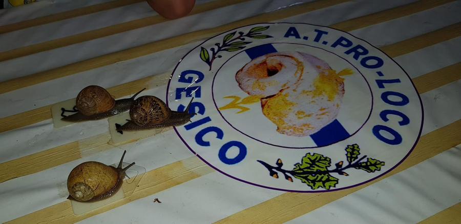 Gesico, i bambini protagonisti della Sagra della lumaca