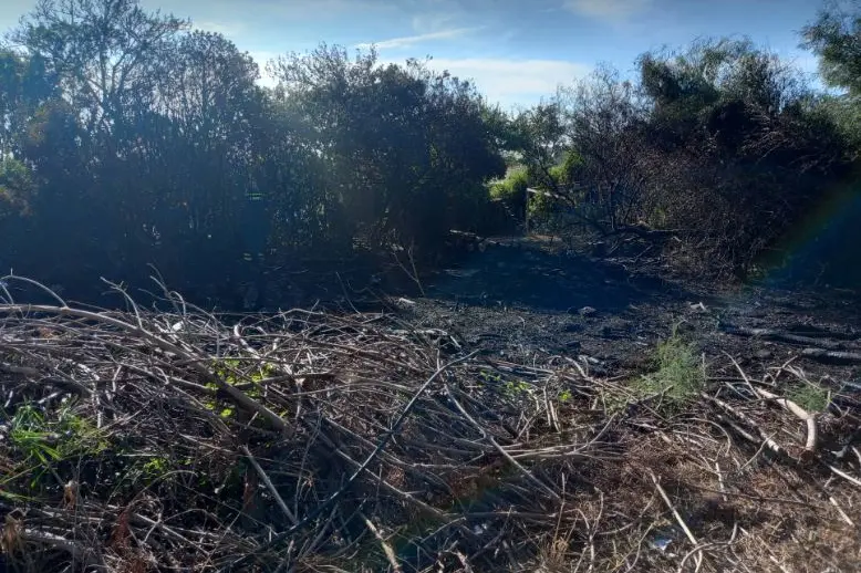 L'incendio nell'agro di Siligo (foto concessa)