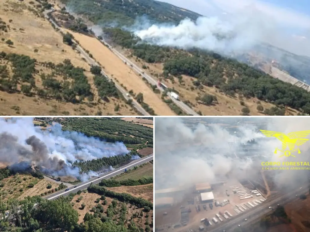 Gli incendi a Carbonia, Fonni e Elmas