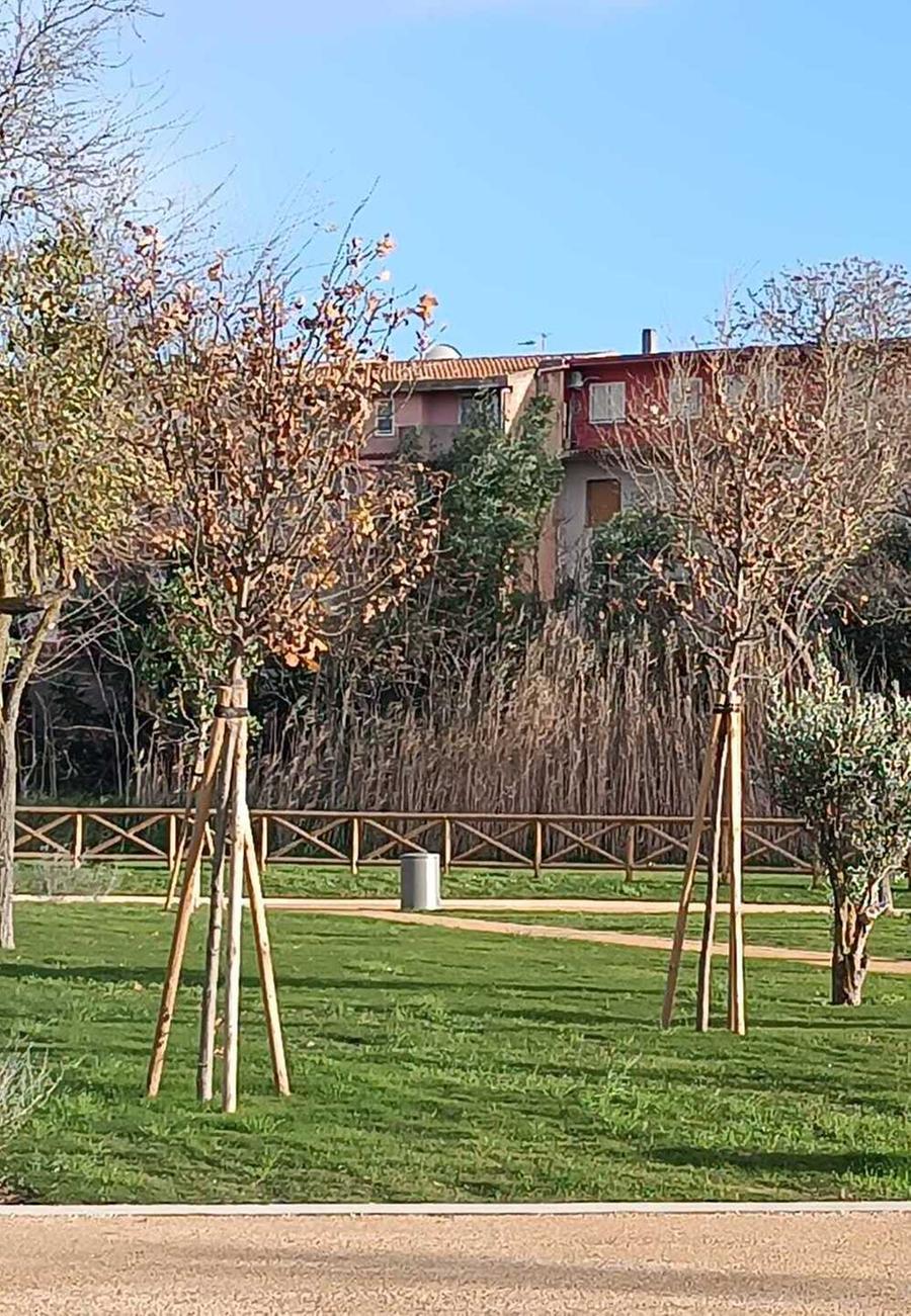 Centomila euro per la manutenzione del parco fluviale