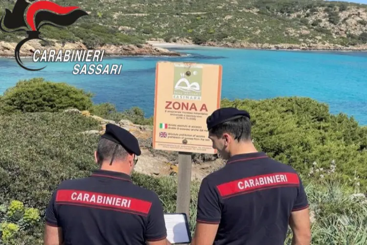 L'intervento dei carabinieri all'Asinara (foto carabinieri)