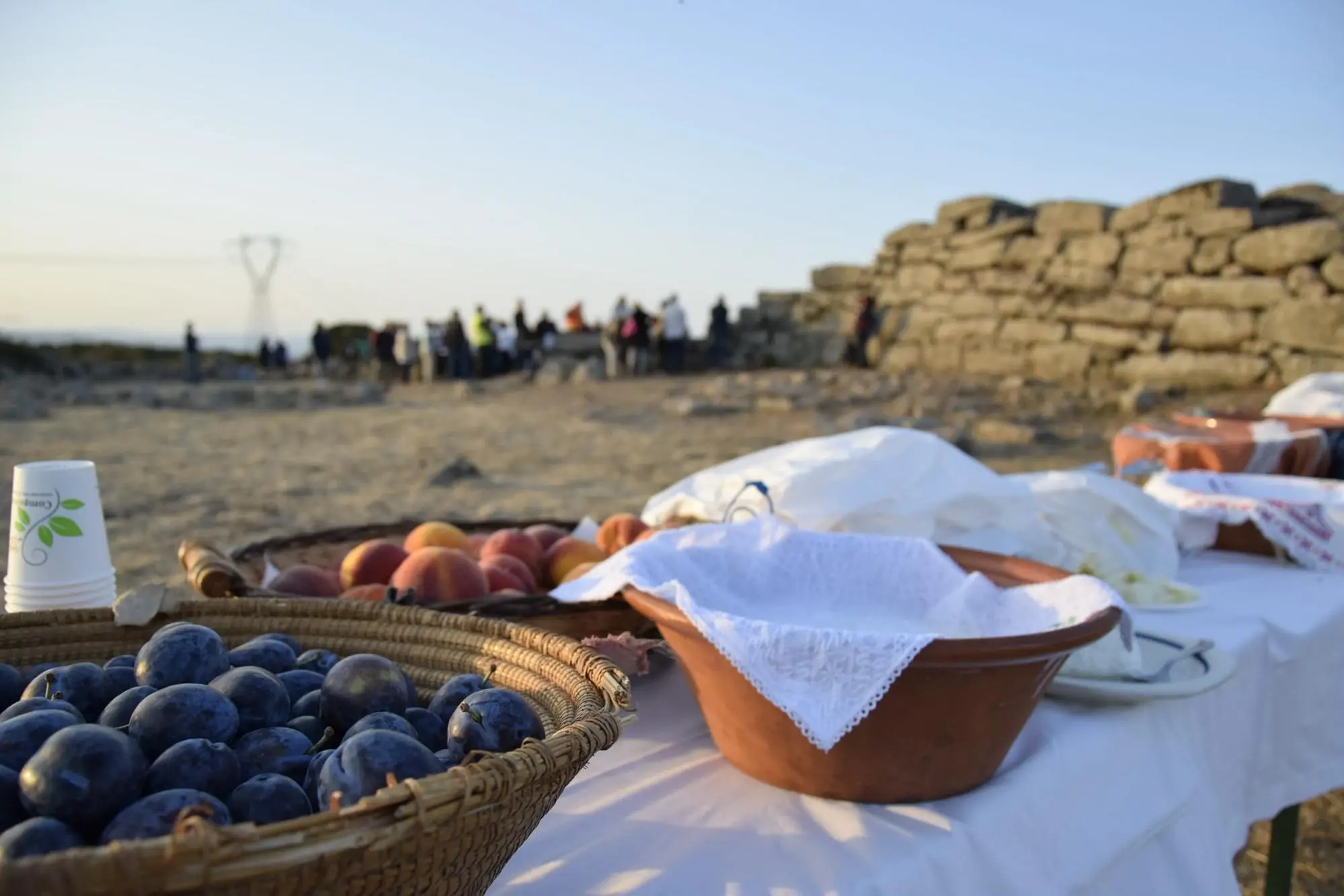 Kehrt appetitlich zu Siddi zurück