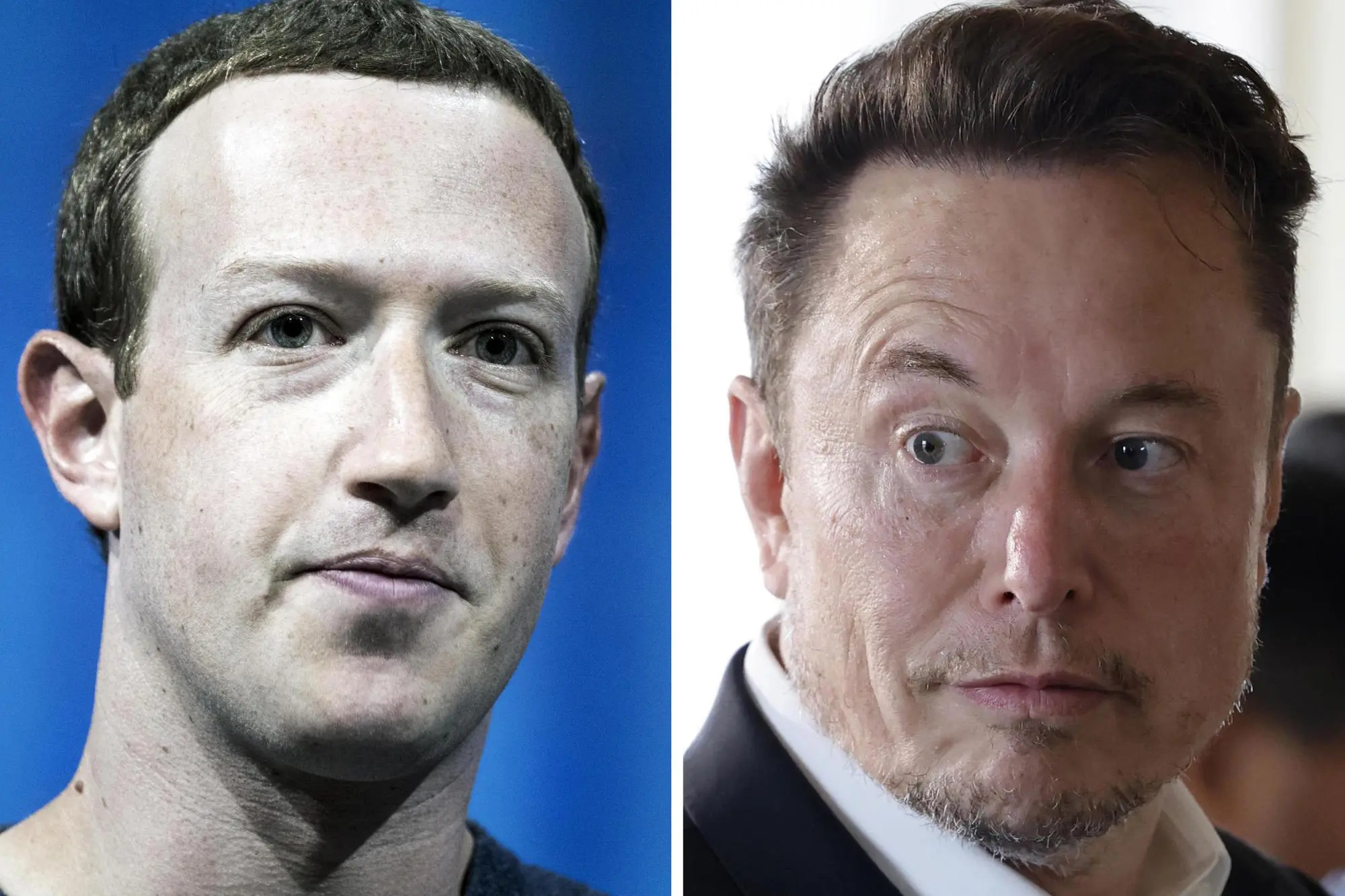 Il fondatore di Facebook, Mark Zuckerberg, e il proprietario di X, Elon Musk (Ansa)