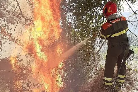 Le operazioni di spegnimento\u00A0(Foto Corpo forestale)