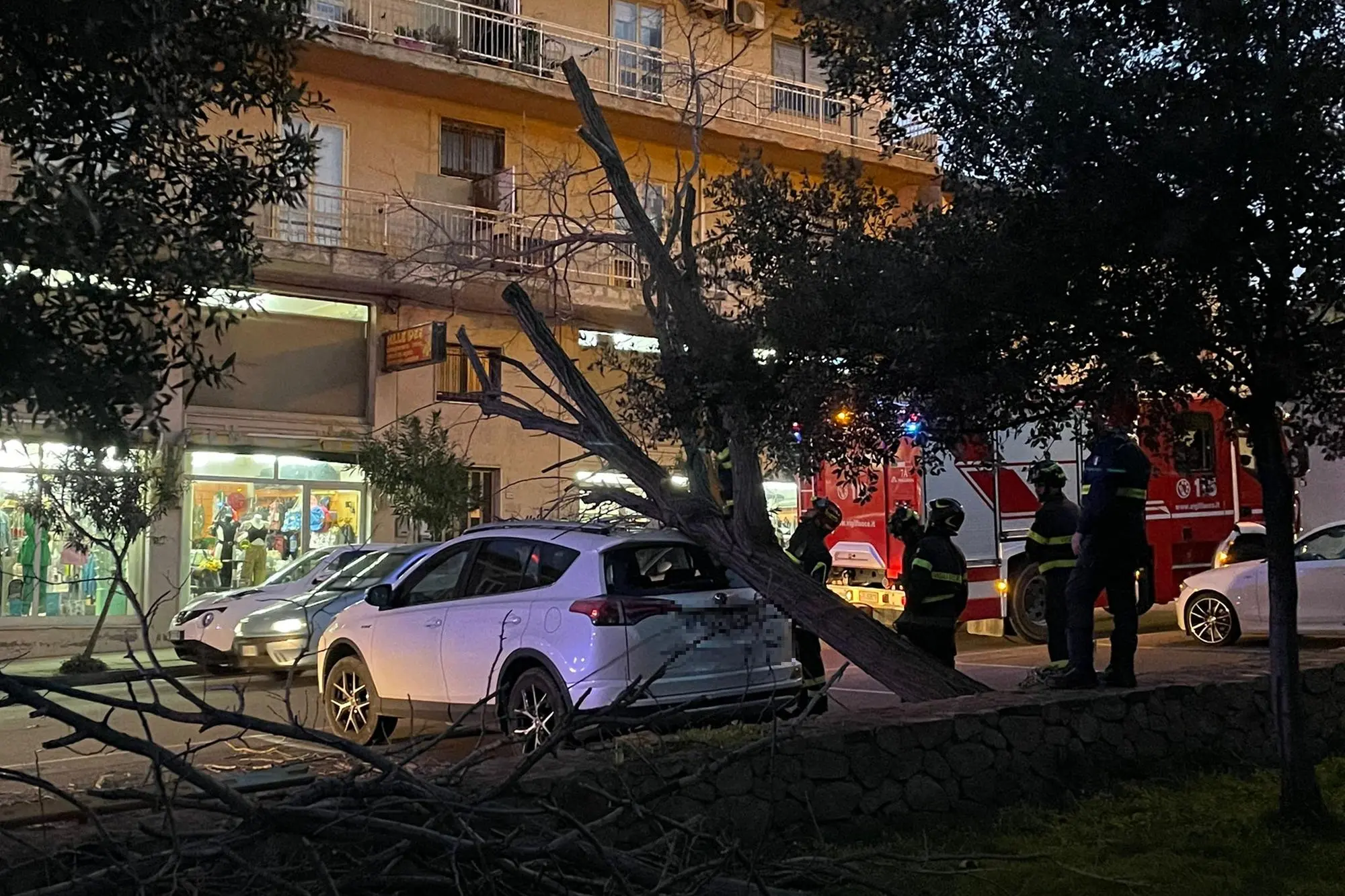 L'albero precipitato su un'auto a Villacidro (foto Deidda)