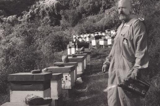 Il miglior miele biologico al mondo? È il Terrantiga di San Sperate