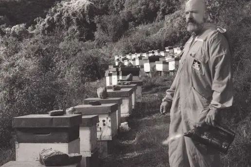 Terrantiga il miglior miele biologico al mondo (Ansa)