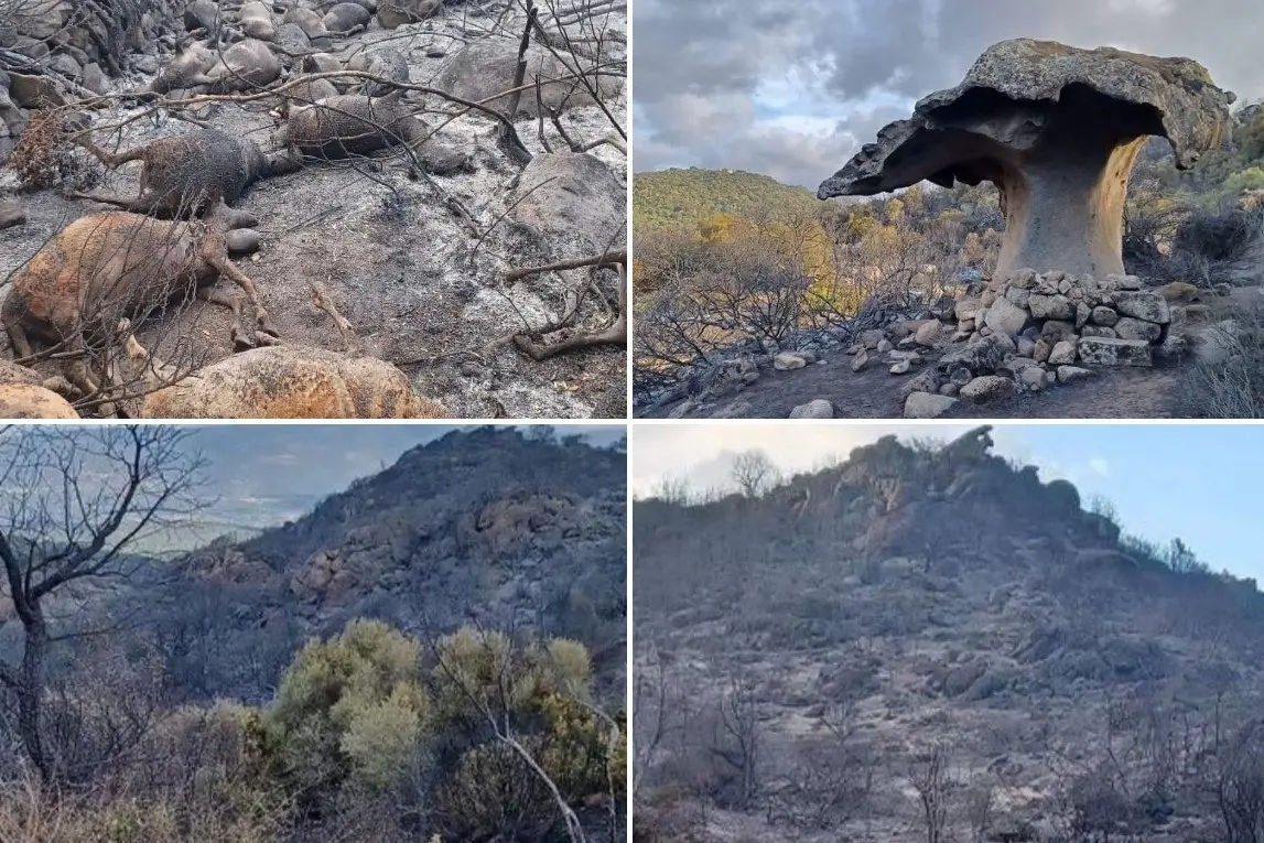 La distruzione dopo l'incendio a Orotelli