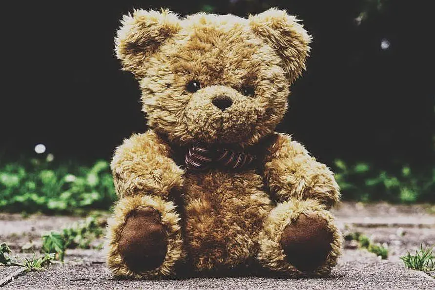 Foto simbolo (Pixabay)