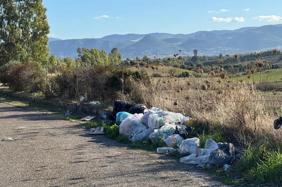 La Provincia dichiara guerra agli incivili
