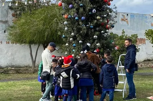 Il leccio trasformato nell'albero di Natale (foto Serreli)