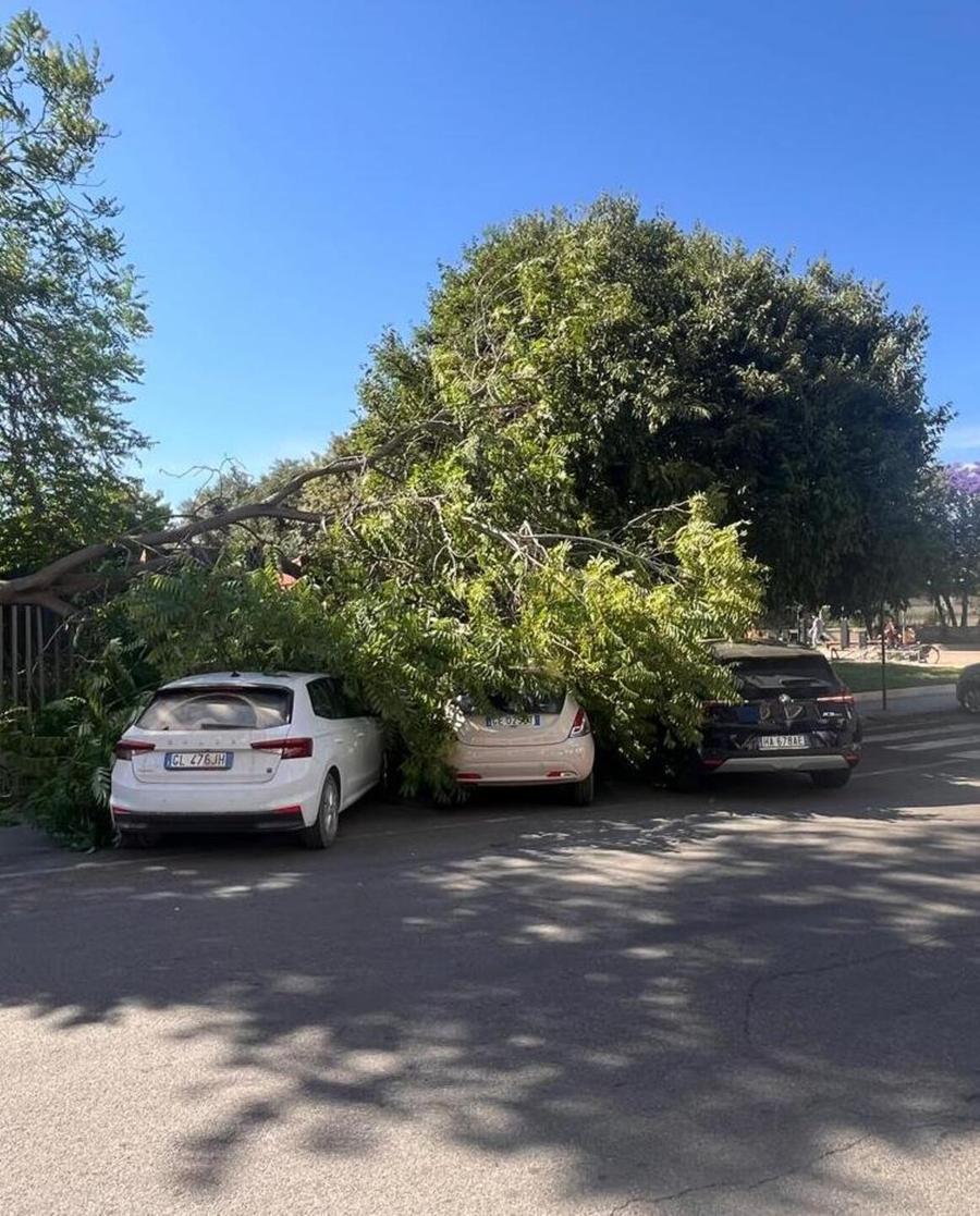 Forti raffiche di maestrale, un grosso ramo crolla su tre auto