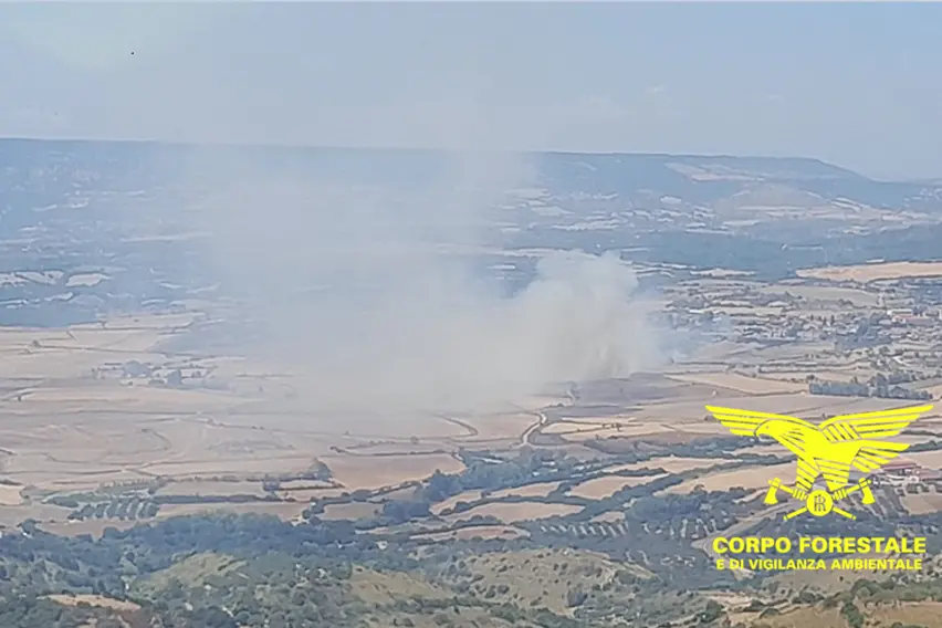 Gergei, l'incendio nella periferia del centro abitato (foto Corpo forestale)