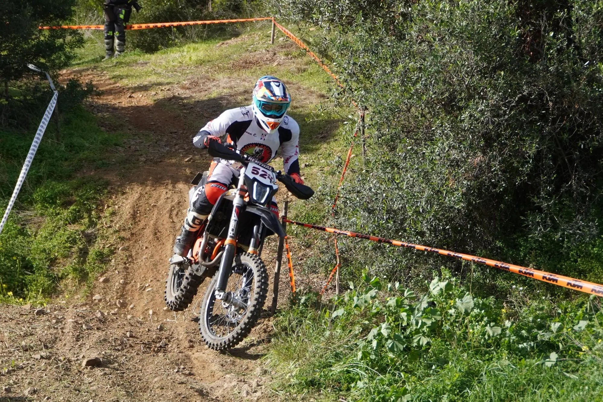 ANDREA SERRELI