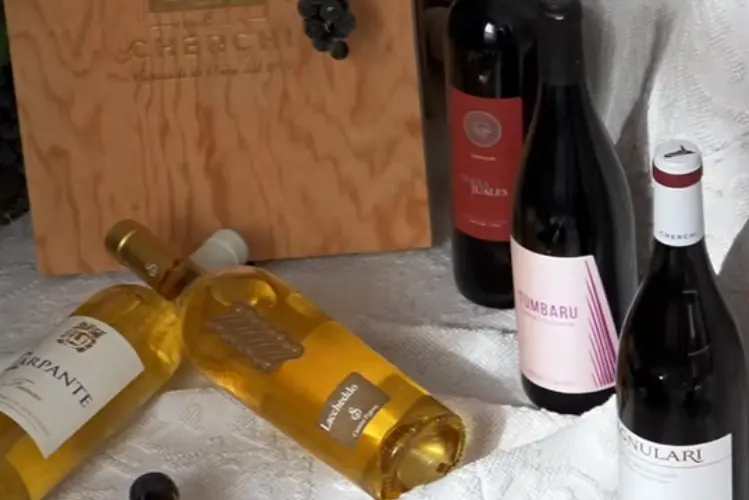 I vini della cantina di Usini (foto concessa)