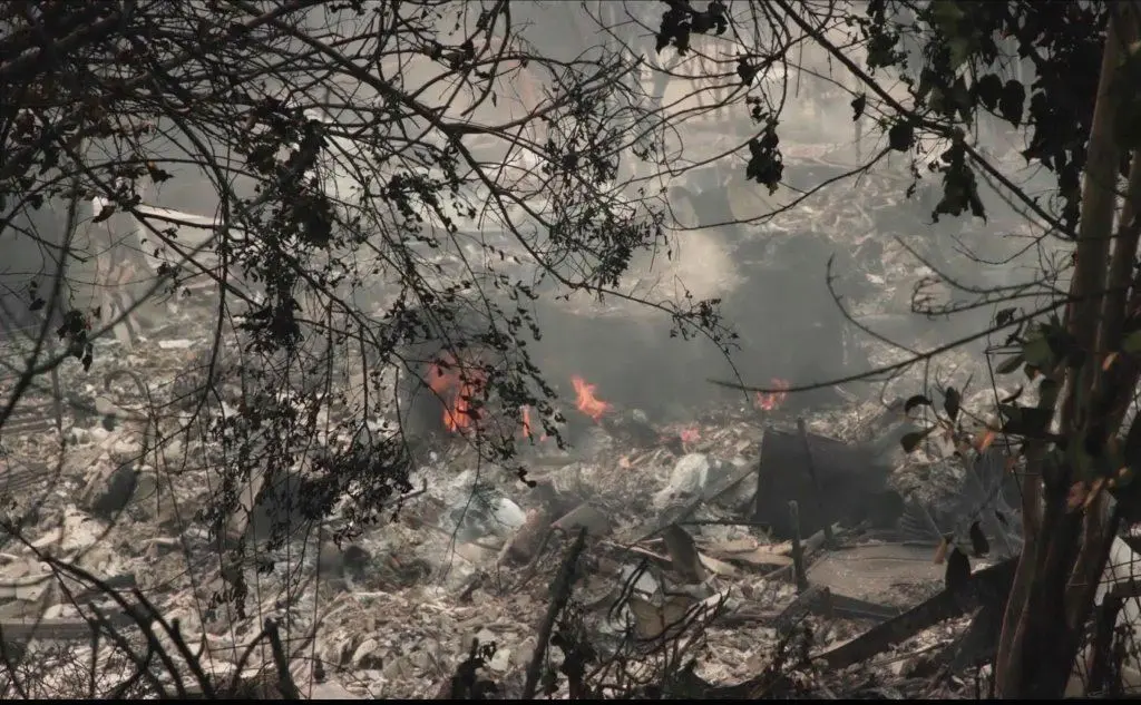Le fiamme hanno bruciato un'area boschiva di oltre 100 chilometri quadrati