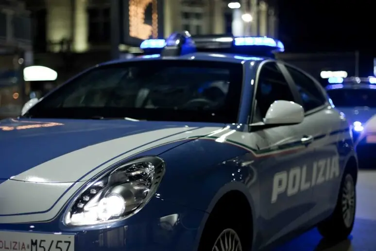 Polizia (Ansa)