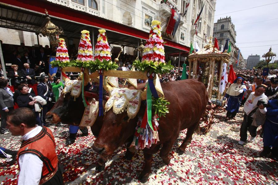 Allarme dermatite, a Cagliari incognita Sant’Efisio: senza buoi statua in spalla sino a Capoterra?