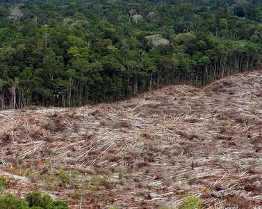 La deforestazione in corso in Brasile (archivio)